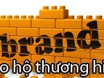 baohothuonghieu