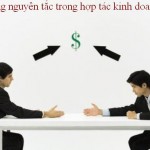 nguyen-tac-hop-tac-trong-kinh-doanh